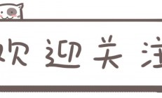 《鸣潮》1.2版本新角色折枝亮相，玩家热议其性别与职业定位"
‌